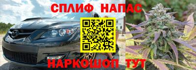прущие грибы Кулебаки