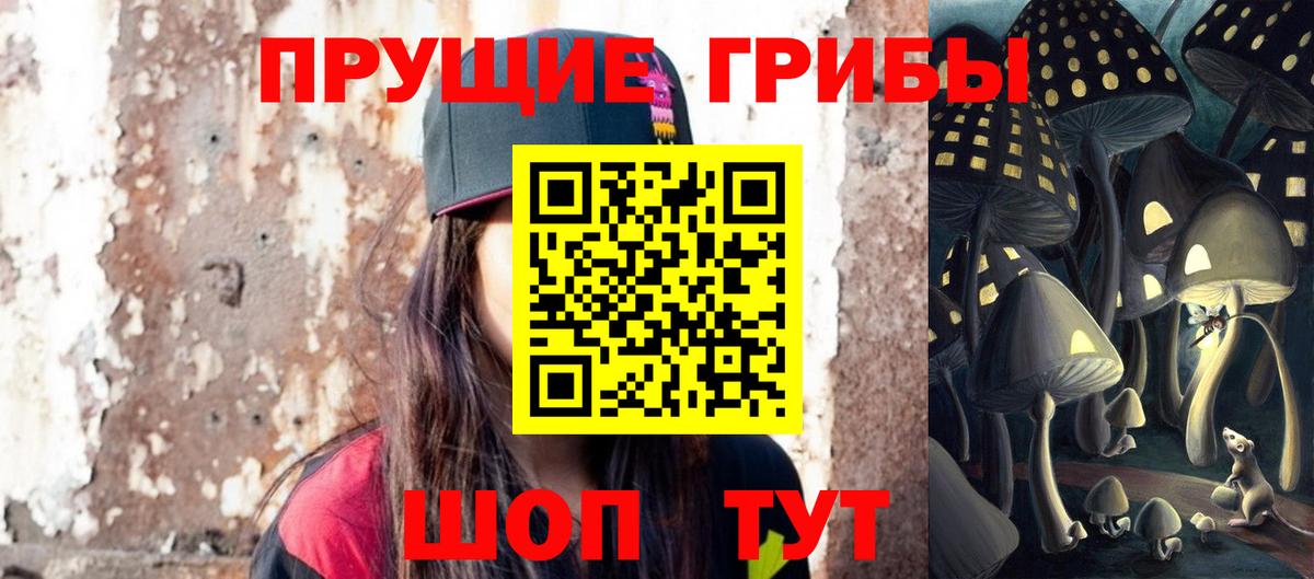 Галлюциногенные грибы Psilocybine cubensis  наркошоп  Урюпинск  Вход с VPN 
